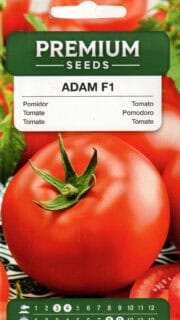Tomat "Adam" F1