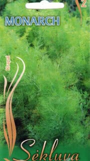 Aedtill "Monarch"