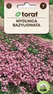 Basiilikulehine seebilill