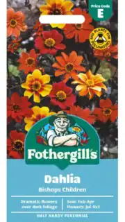 Aed-daalia tumedaleheline "Bishops Children"