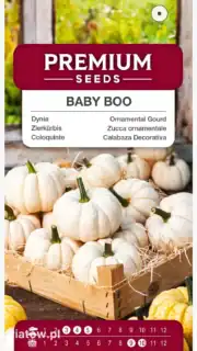 Minikõrvits "Baby Boo"