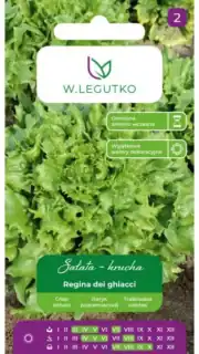 Jääsalat "Regina Dei Ghiacci"