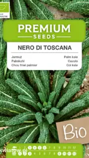 Kähar lehtkapsas "Nero di Toscana"