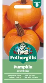 Kõrvits "Small Sugar"