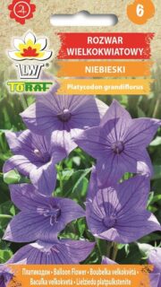 Suureõieline laikellukas lilla