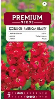 Levkoi "Excelsior American Beauty"