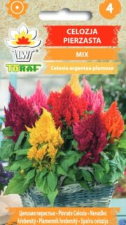 Mätashari madal segu