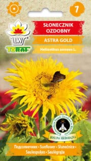 Harilik päevalill "Astra Gold"
