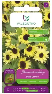 Harilik päevalill madalakasvuline "Pixie Lemon"