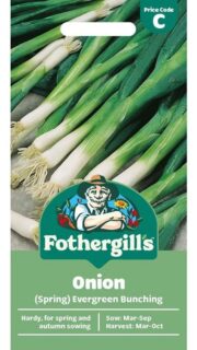 Talisibul "Evergreen Bunching"