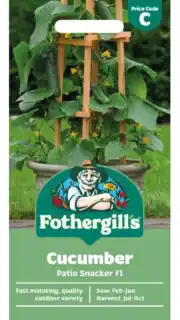 Avamaakurk "Patio Snacker" F1
