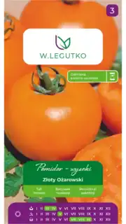 Tomat "Zloty Ožarowski"