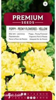 Pojengiõieline unimagun "Yellow Peony"
