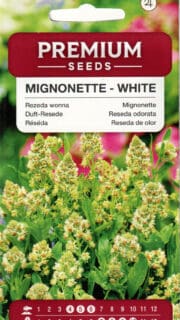 Lõhnav reseeda "Mignonette - White"