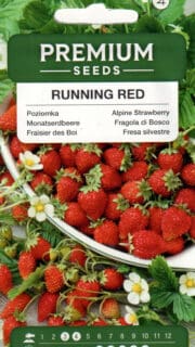 Kuumaasikas "Running Red"