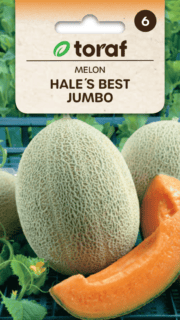 Melon "Hale`s Best Jumbo"