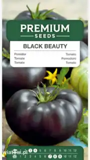 Tomat "Black Beauty"