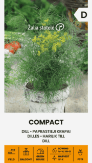 Põõsastill "Compact"