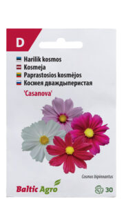 Harilik kosmos kääbuskasvuline "Casanova Mix"