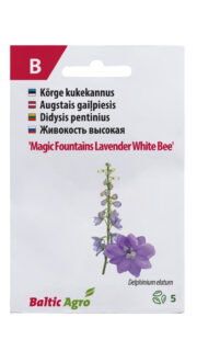 Kõrge kukekannus "Magic Fountains Lavender White Bee"