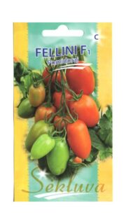 Tomat "Fellini" F1