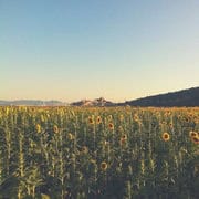 Dove mangiare in Maremma