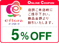 【期間限定】イーフローラ「5%OFF」割引クーポン