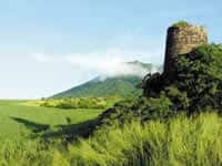 St. Kitts & Nevis