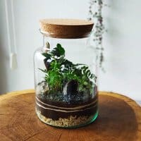 Szklany słój z korkiem wys. 25 cm