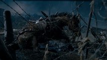 War Horse