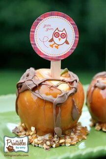 Owl Party Printables