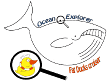 Perttu Korhonen Ocean Explorer Micro Cruiser sailing