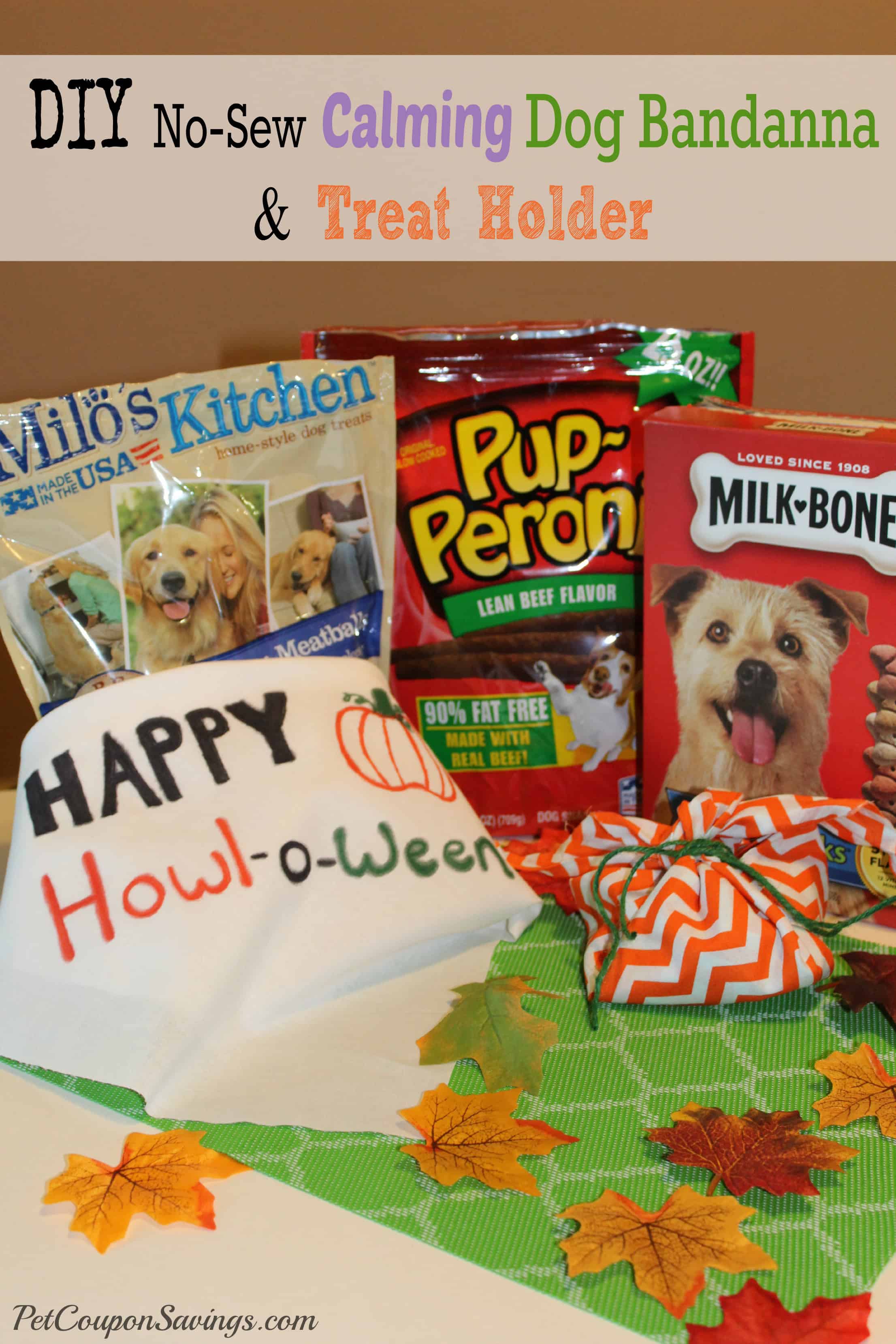 DIY No-Sew Calming Dog Bandanna & Treat Holder