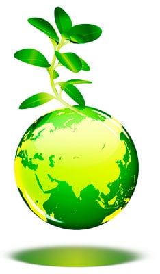 CURSO TÉCNICO DE MEIO AMBIENTE