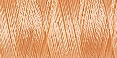 Gutermann Rayon No 40 - 200m -1017