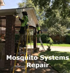 Frisco TX mosquito spraying companies