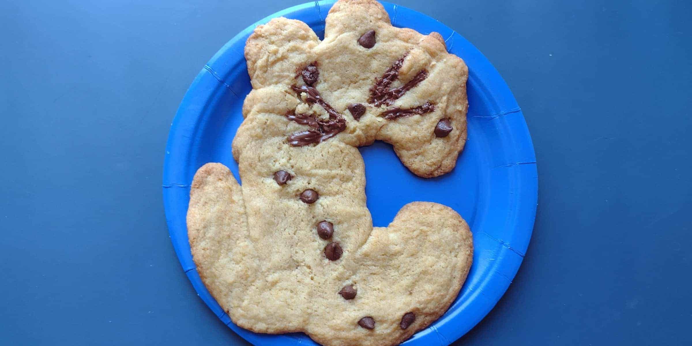 C is for Cat Craft: Chocolate Chip Cookie
