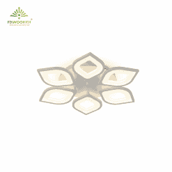 Đèn ốp trần trang trí Flower OTF0026-2-48W