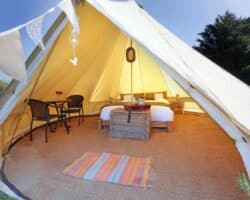 Photo: Hedgehog Photographic wedding bell tents at cott farm