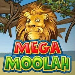 Mega Moolah promo banner 250x250
