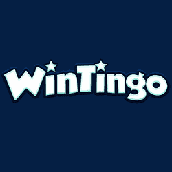 Wintingo Casino Banner