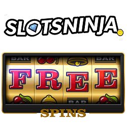 Play RTG Casino for free! 