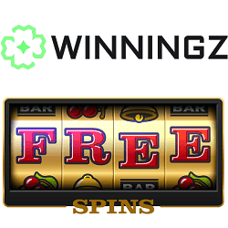 Free spins casino slot game with free bonus offers and bonus rounds.