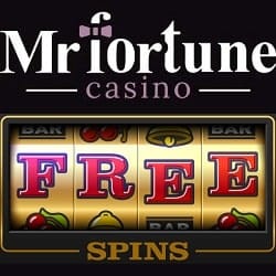 Mr Fortune Casino banner 100 FS