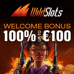 Wildslots Casino banner 250x250