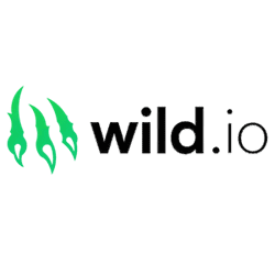 Wild.io Casino image banner 250x250