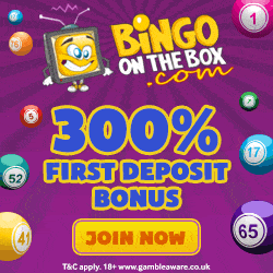 Bingo on the Box™ 100 free spins & 300% bonus - Microgaming Casino