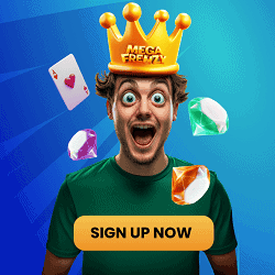 Mega Frenzy USA Social Casino 