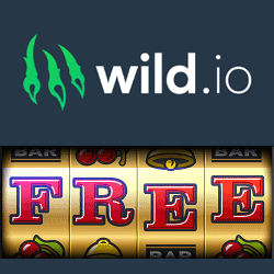 Wild.io Casino logo banner image 250x250
