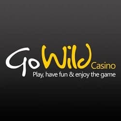 Gowild Casino banner new